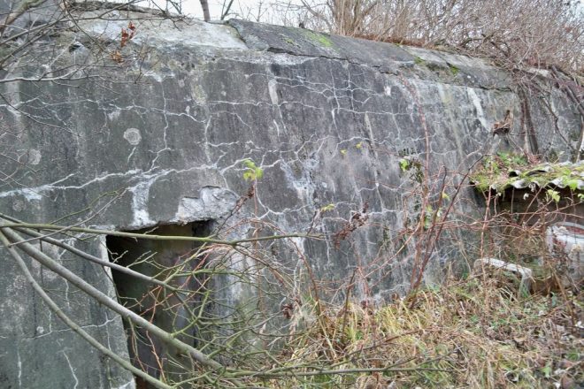 Fot. Dawid Horodyniec, 2011